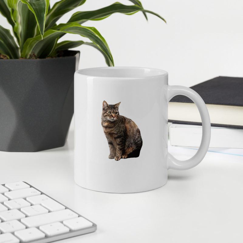 white-glossy-mug-white-11-oz-office-environment-6810d7f4c8778.jpg